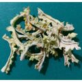 NATURAL DEHYDRATED BITTER GOURD FLAKES 50 GM